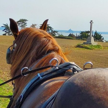 Chez Jollyjune Ferme Equestre des Courlis, à moins d'une heure du Mont Saint-Michel Champeaux Esterno foto