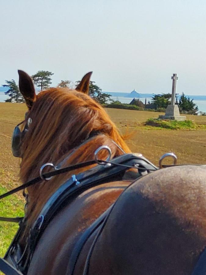 Chez Jollyjune Ferme Equestre des Courlis, à moins d'une heure du Mont Saint-Michel Champeaux Esterno foto