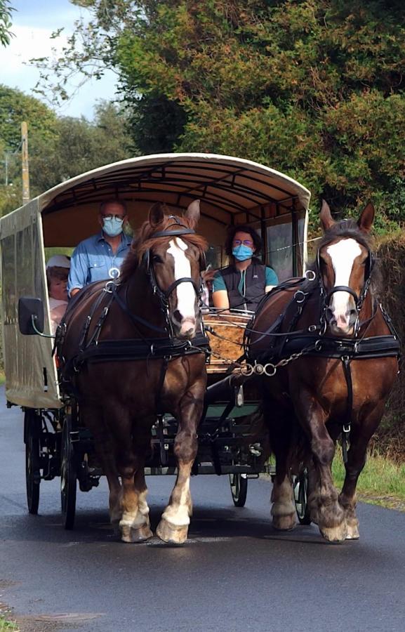 Chez Jollyjune Ferme Equestre des Courlis, à moins d'une heure du Mont Saint-Michel Champeaux Esterno foto