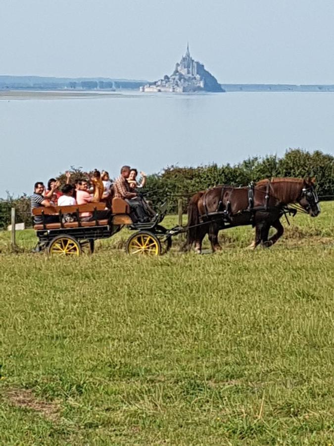 Chez Jollyjune Ferme Equestre des Courlis, à moins d'une heure du Mont Saint-Michel Champeaux Esterno foto
